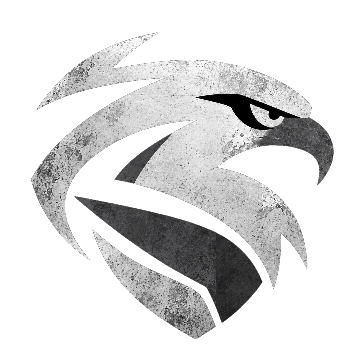 Call of Duty logo
